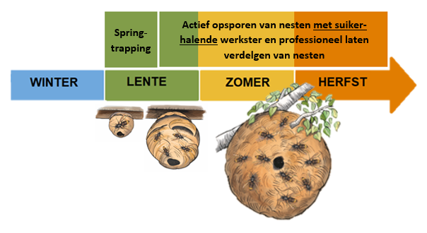 Figuur 6: Schematische voorstelling van bestrijdingsplan per seizoen